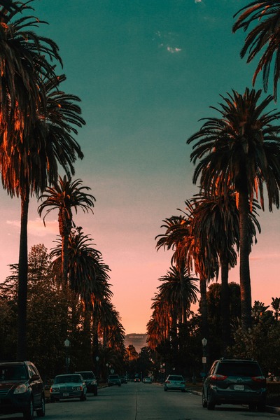 How To Call California From Singapore